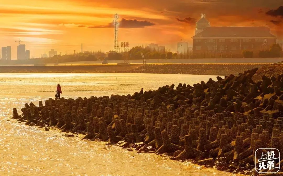 吵翻了！上海16个区终于正面PK！哪个是你心中的扛把子？