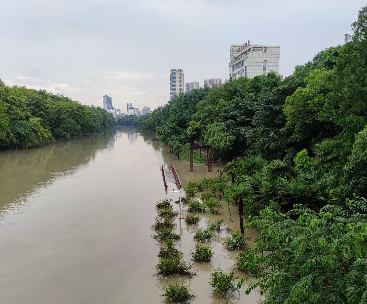 笋干菜烧肉杭州,笋干烧肉徽菜