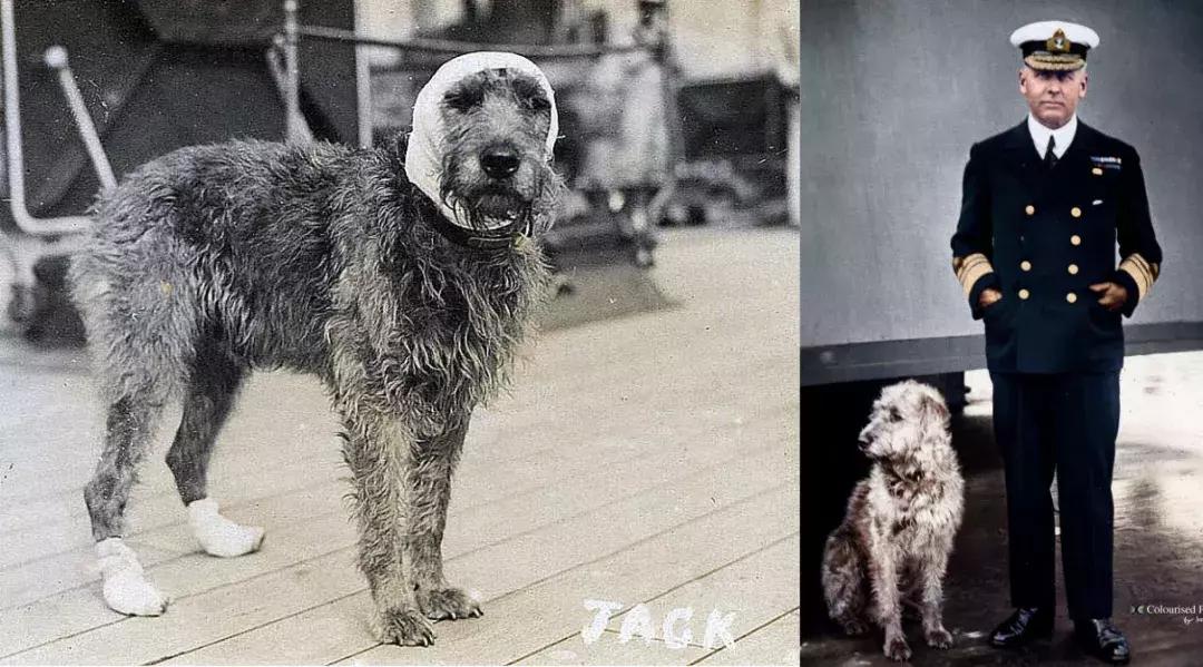 战列舰厌战号,厌战号战列舰纪录