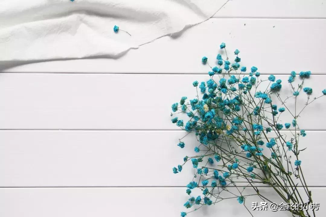 等待只是给自己一个不离开的借口,等待不是为了能回来而是找个借口