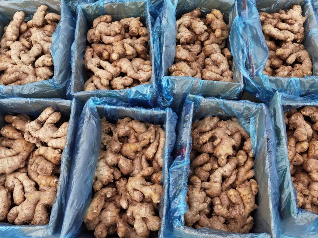 每亩净收益8万以上,每亩利润