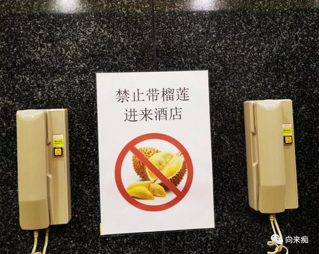 泰国三人行（二）之香艳芭提雅