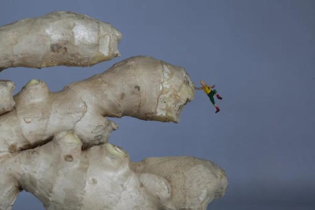 摄影师镜头微缩世界,摄影师镜头里的美