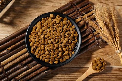 狗狗美毛选哪款狗粮,益生臻选狗粮怎么样