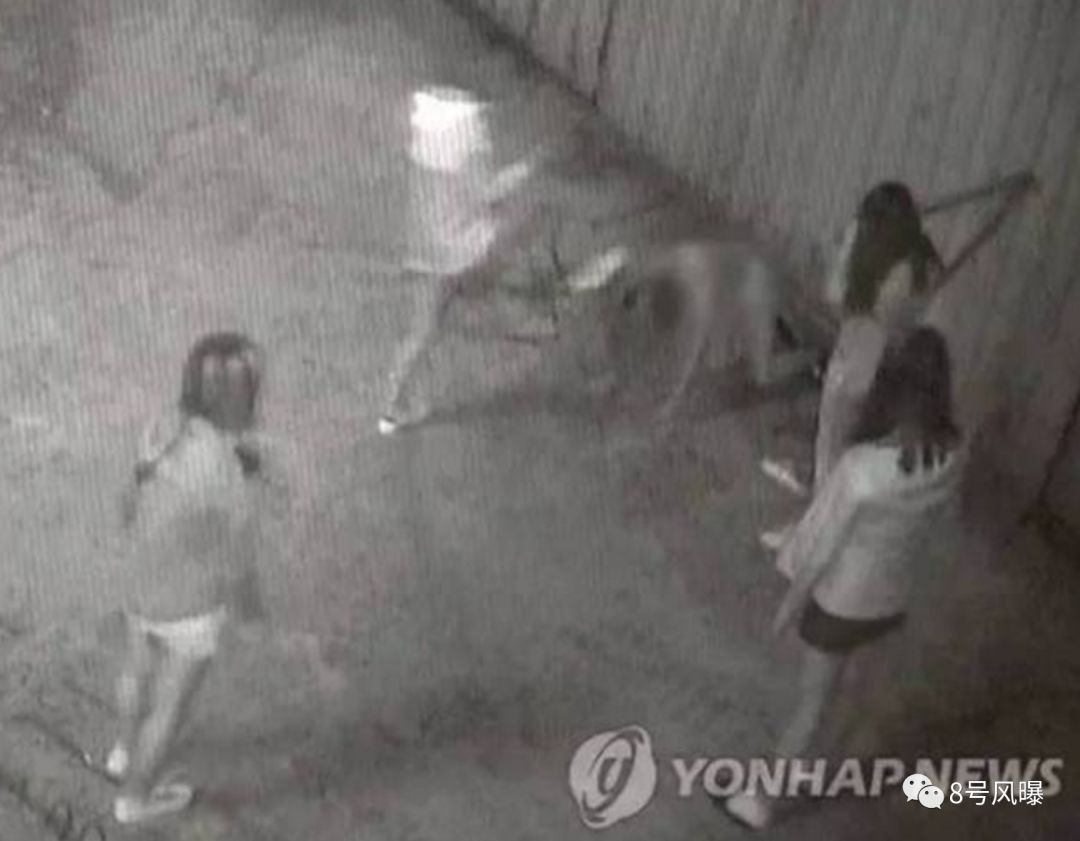 男子疑性侵15岁少女被打后续,19岁女孩遭韩国男子暴打