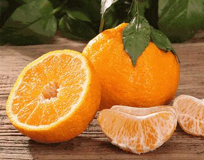 最新最有前景的柑橘新品种,真正有前景的柑橘新品种有哪些