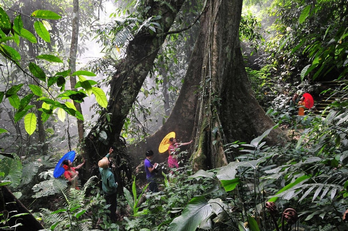 彩云之南西双版纳傣族,西双版纳风景彩云之南