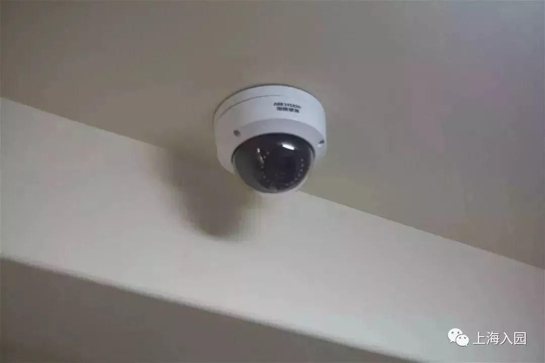 探园|这所幼儿园堪称“天然氧吧”！开办2年人气超高！报名人多