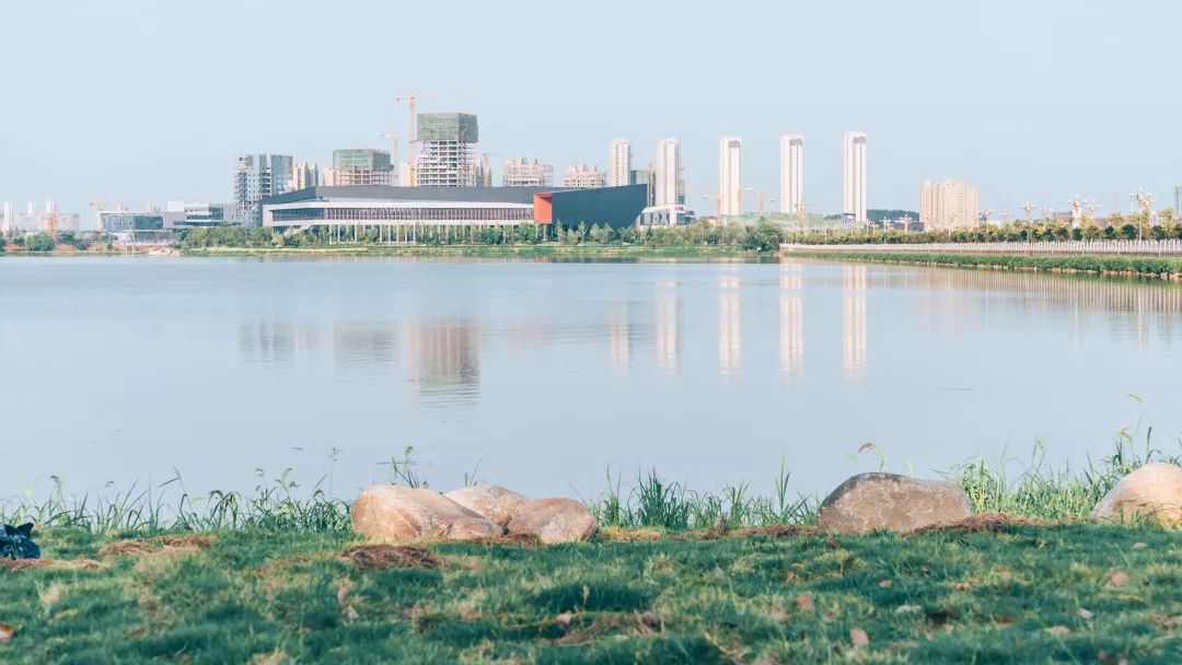 用66张照片回忆2020年,江夏高清图片