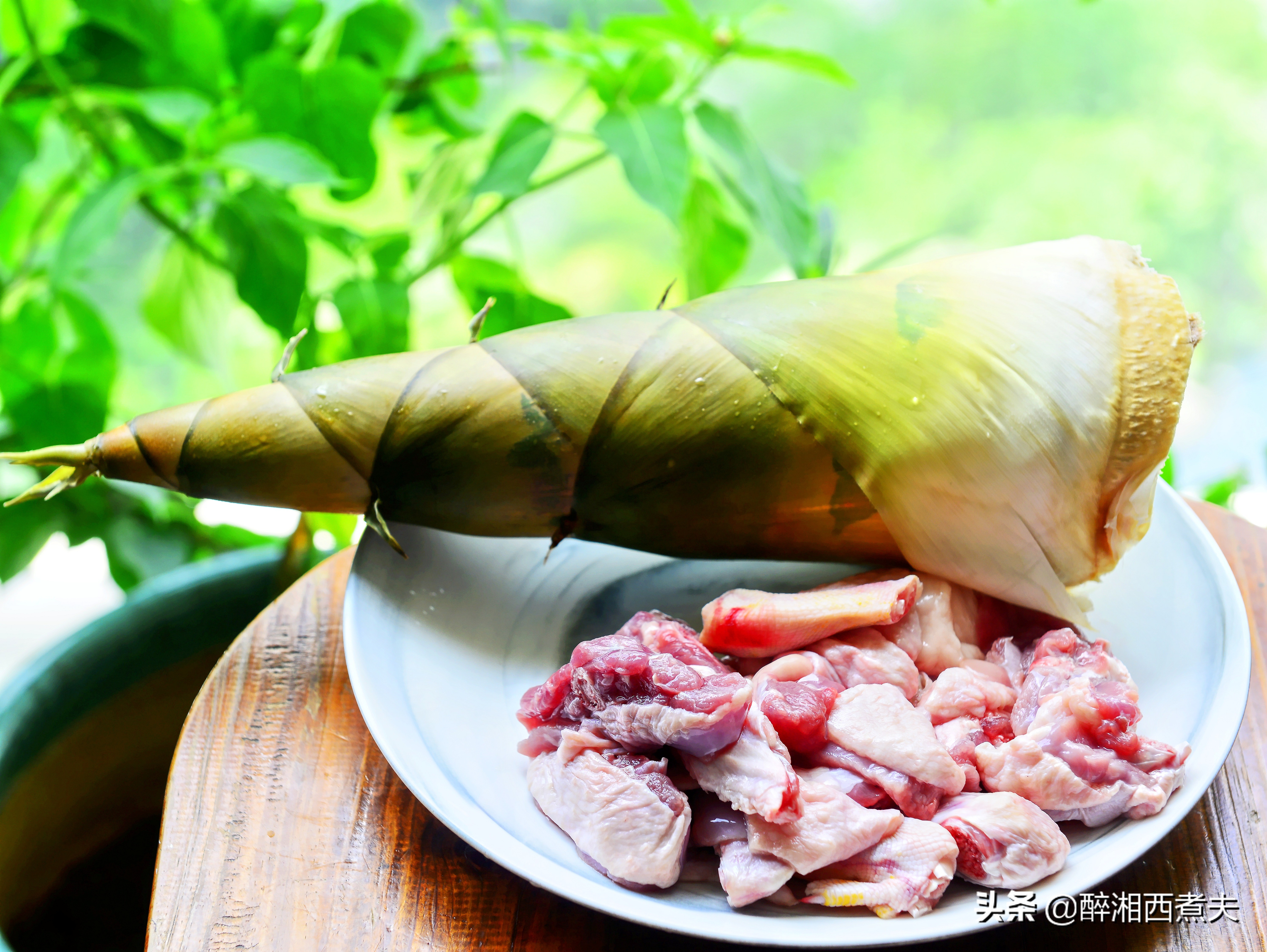 最好的南方竹笋,野生竹笋最好吃的季节
