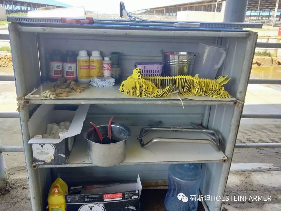 万头牧场产房工作心得分享