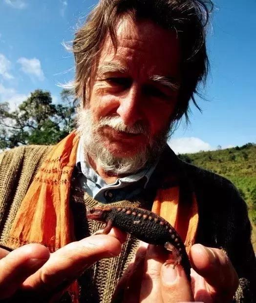 29岁不当记者，追随德国老公守护雨林，两女儿宛如天使，可不上学