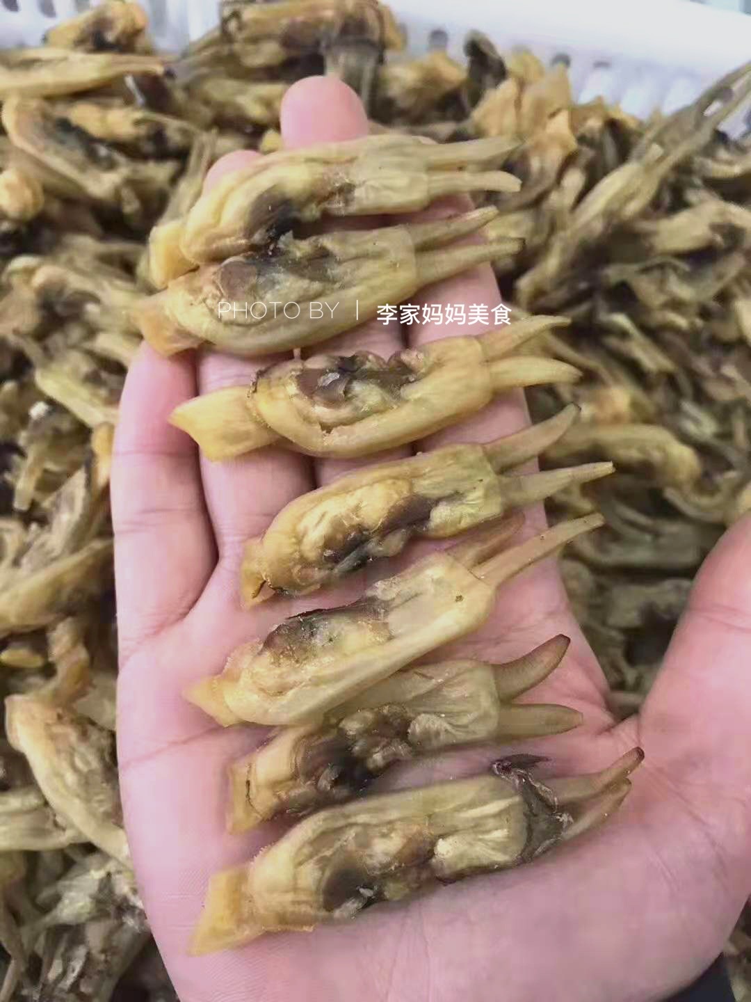 清明时令海鲜,清明前后海鲜