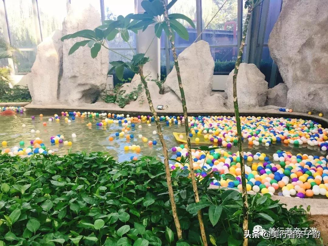 这2家酒店做活动啦~刷野生动物园+自行车运动公园最好时机