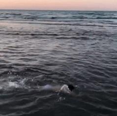 拥有6块腹肌的5岁孩子，人送外号“小泰山”！成年人都要跪了……