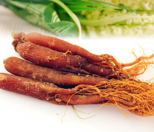 人参、西洋参、*党**参、太子参等这些中药！有何异同？一文说明白