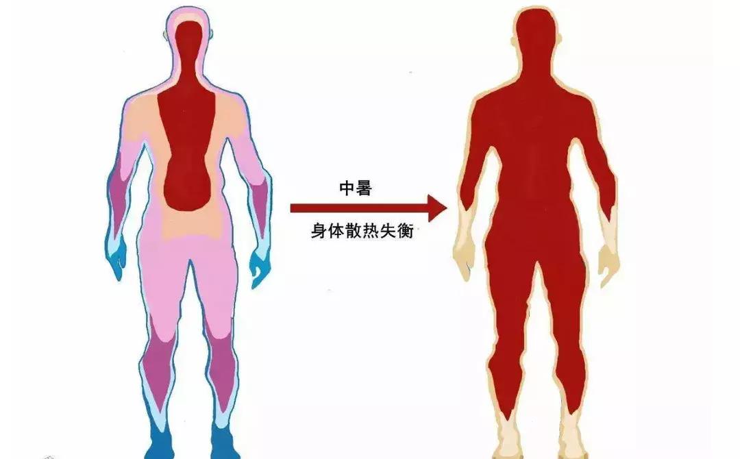 高温必备送你一份防中暑指南,十大防中暑锦囊排名