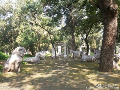 曲阜孔林游记,曲阜孔林