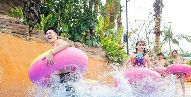 游玩广州长隆野生动物园美篇,广州长隆是怎么玩的