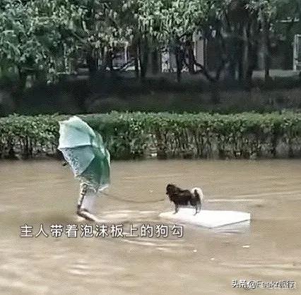 全中国都在你们身后，河南，挺住