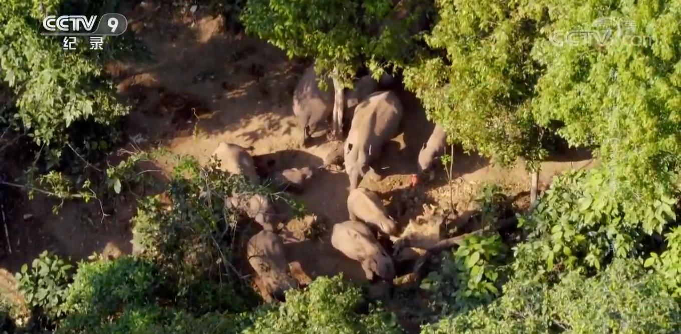 云南西双版纳市区全景航拍,航拍讲解整个西双版纳