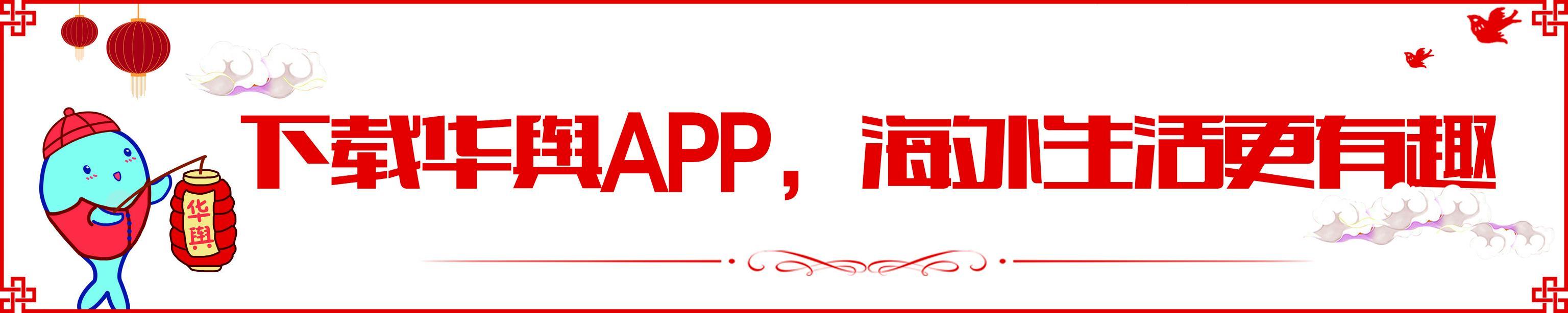 男子老*机虎**输了2000欧，竟放火烧华人游戏厅！