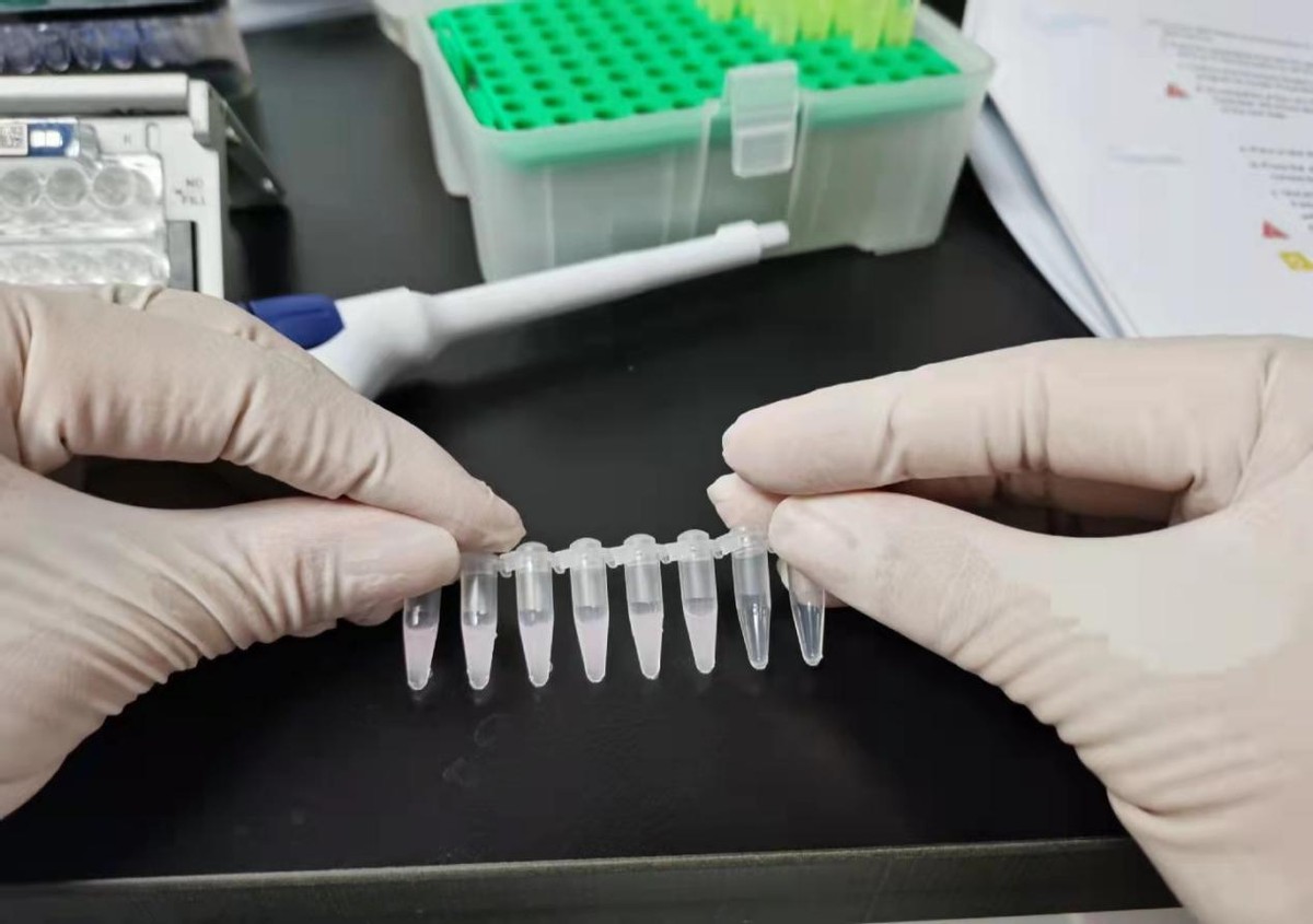 二本就业最差的专业,二本天坑专业出路