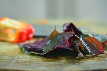 西餐常用的十三种香草介绍大全,西餐中常用的15种香料和香草