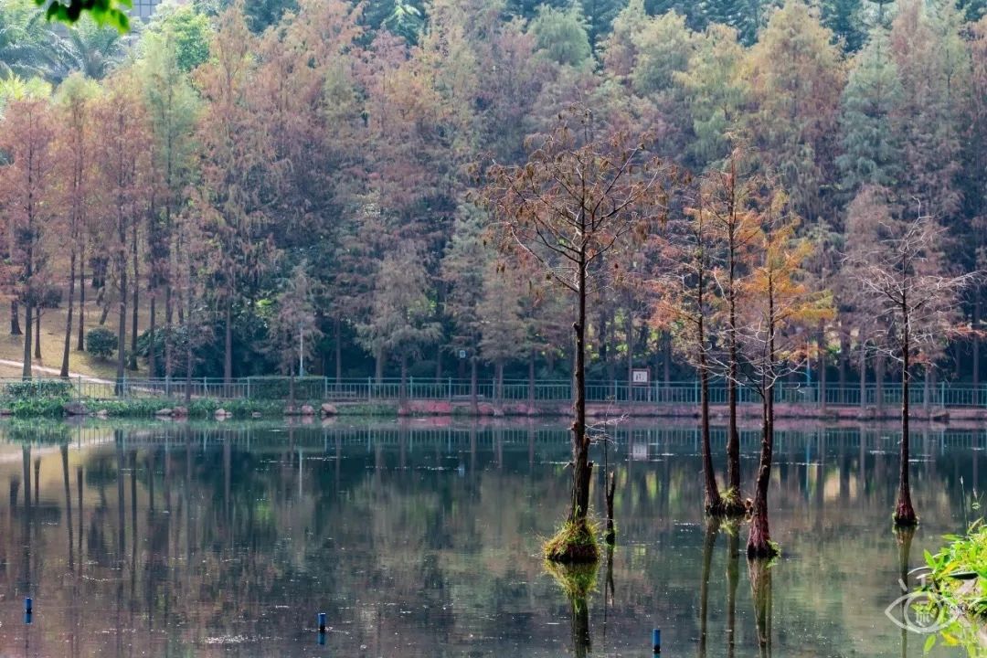 天下最美湖泊西湖,比西湖更美的湖泊
