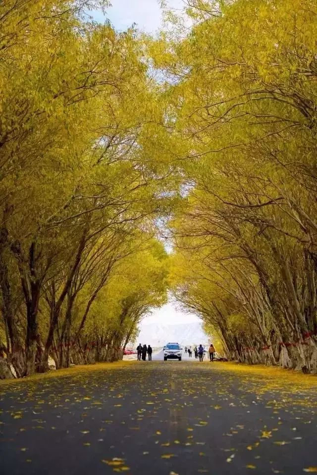 新疆喀什到巴基斯坦需要怎么过去,喀什通巴基斯坦公路