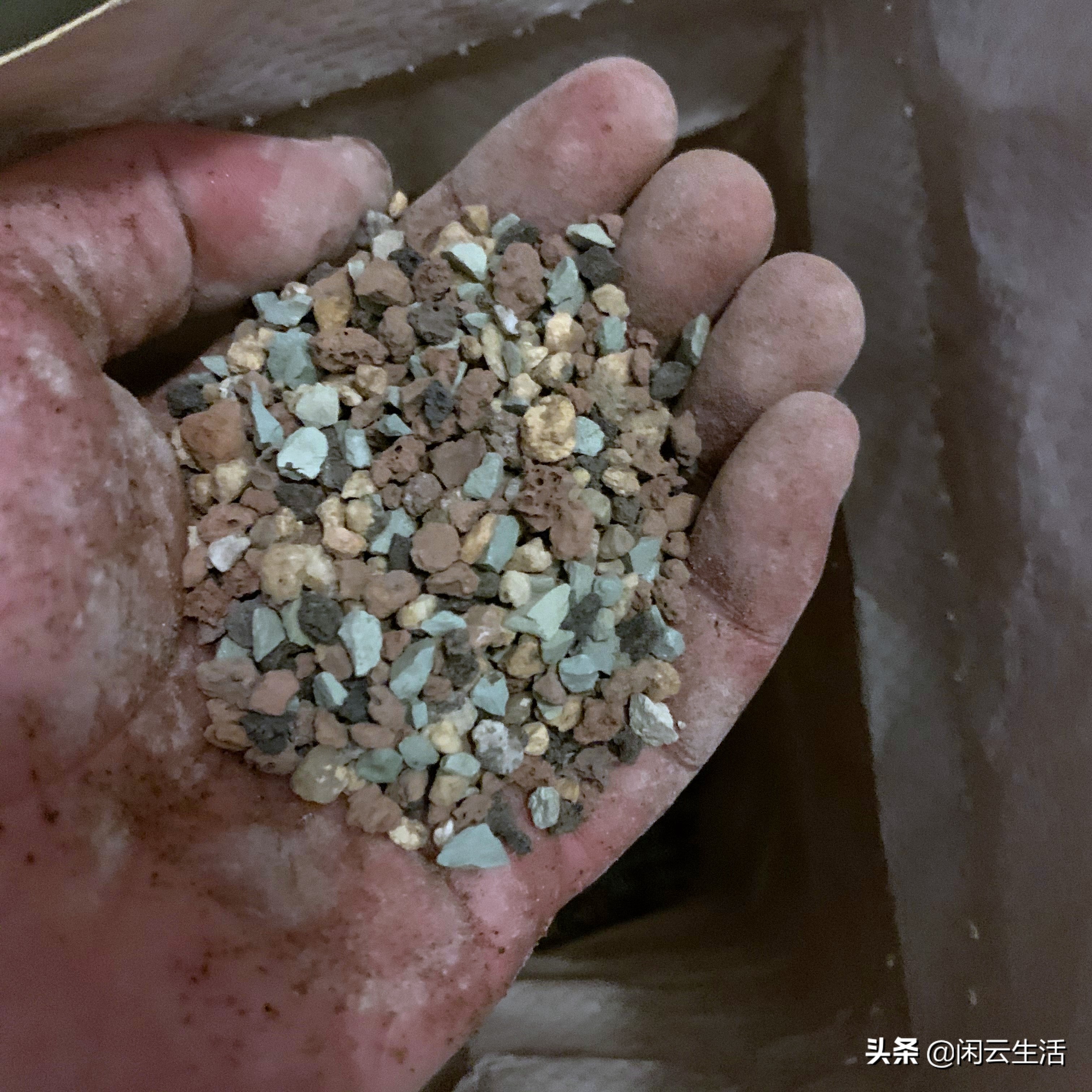 还在买几块钱包邮的营养土吗？快停止吧！——室内植物配土说明