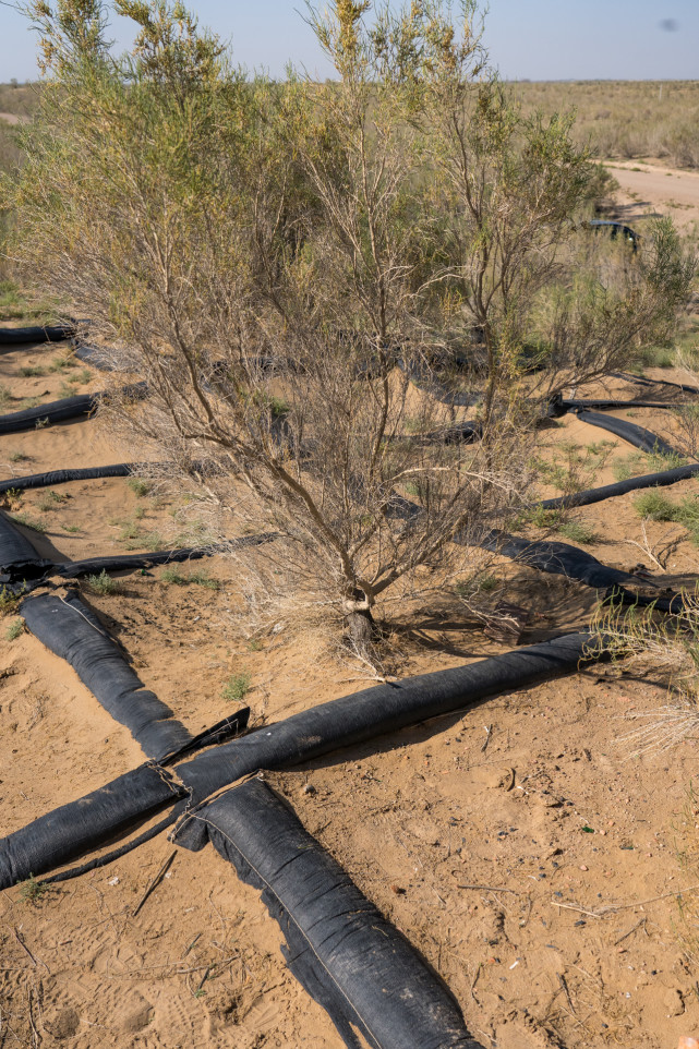 中国八大沙漠治理现状卫星地图,罗布泊沙漠现状