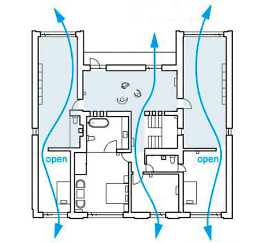 除甲醛排名第一的植物是绿萝吗,新房除甲醛是植物好还是活性炭好