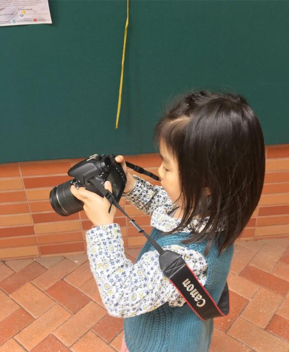 团队自驾游南澳岛旅游攻略,自驾广州长隆3天2夜亲子游攻略