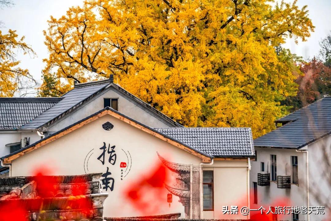 这才是12月最值得去的旅行地,11月12月去哪里旅游最美