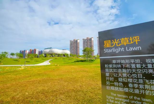 深圳北站中心公园现状,深圳北站中心公园风景