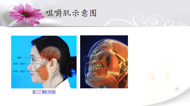 打溶脂针和瘦脸针哪个副作用大,打瘦脸针有没有副作用和后遗症