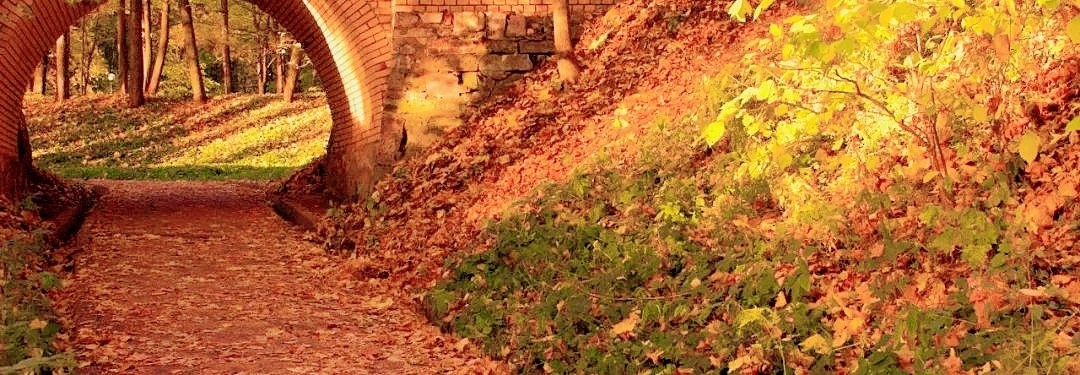 中考英语首字母填空常见词,首字母填空历年中考高频单词汇总