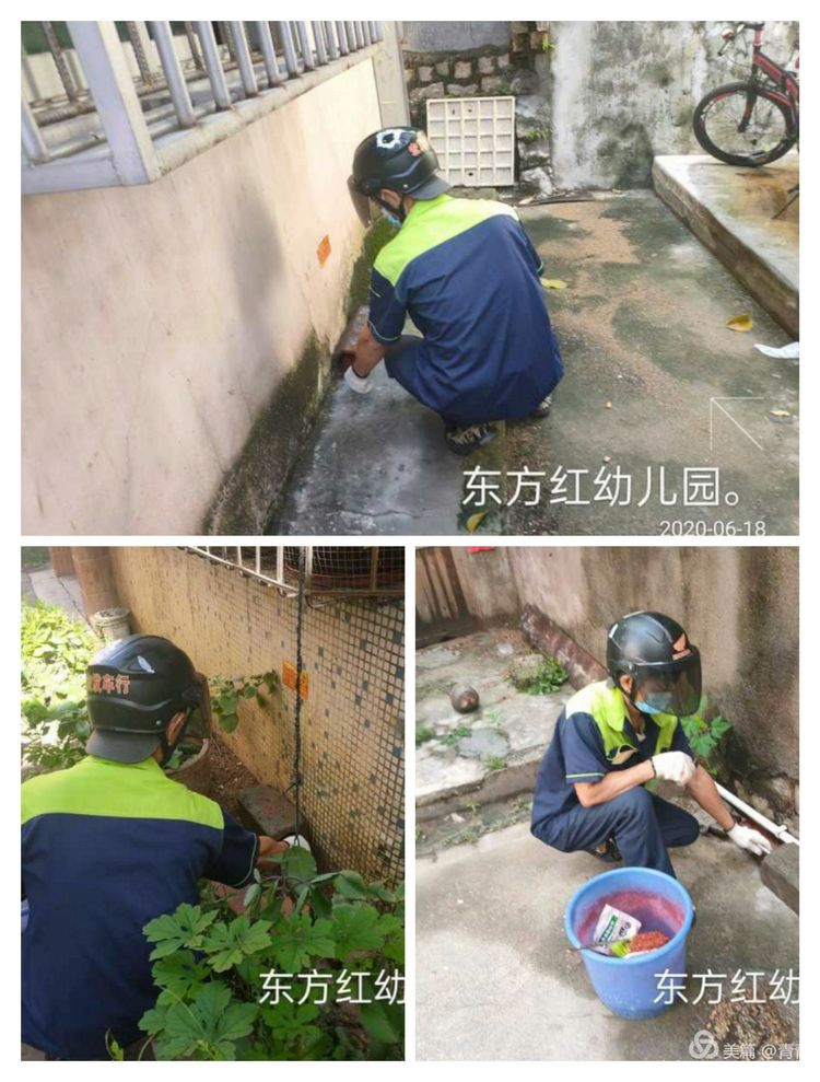 乐东县爱卫服务中心策划专业技术人员对县城各办公区和公共场所进行灭蚊防病除四害消杀