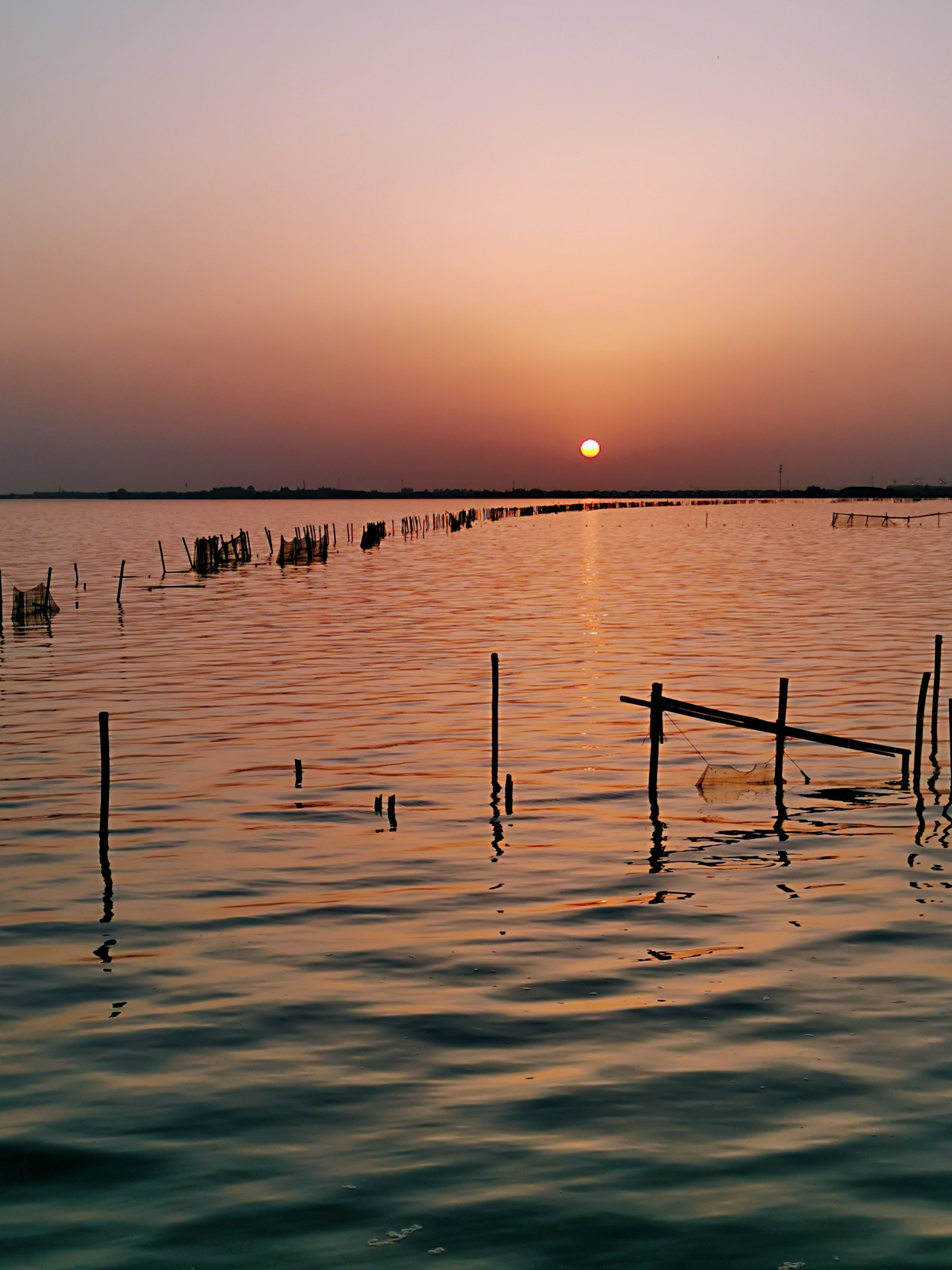 上海6天5夜旅游景点攻略,出差上海一日游攻略必去景点