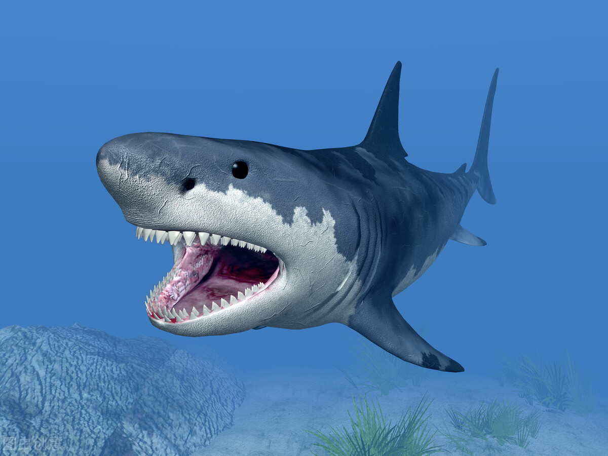 创业者主要可以选择的三种市场,创业者三种市场模式