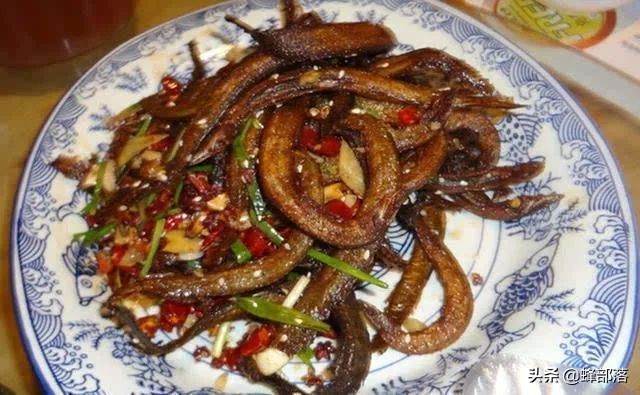 哪里有养殖刀鳅鱼的,刀鳅鱼为什么没人养殖