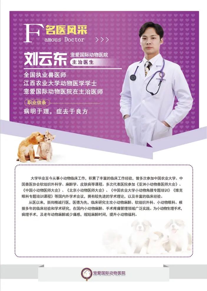 猫咪到底为什么绝育后还会发情呢？