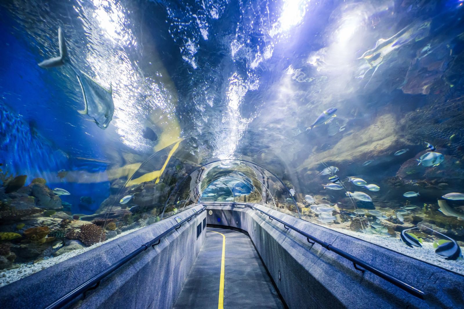 辽宁大连推荐旅游景点,辽宁大连旅游必去景点