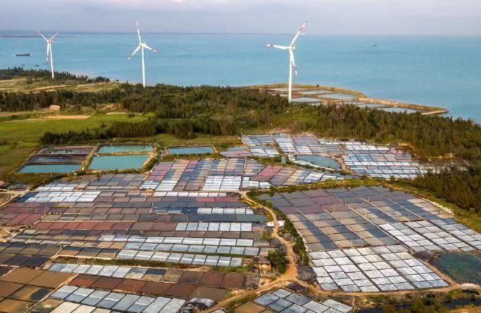 距海南20km有片处女地，比台湾风情比三亚便宜，路过都错过了