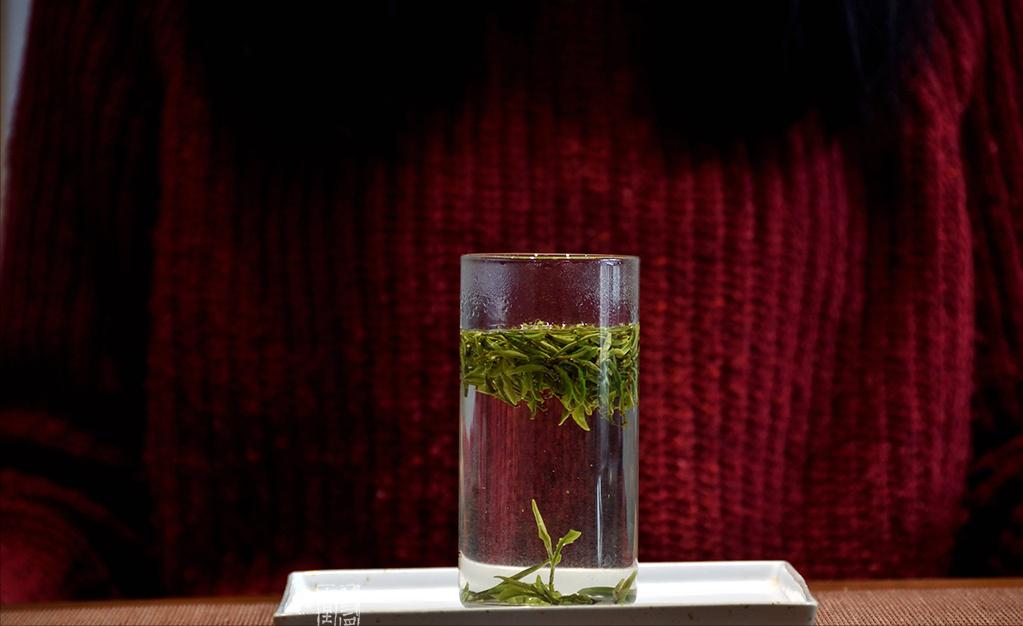 学品茶一定要先学会这些术语,看懂这些词你离喝茶高手就不远了