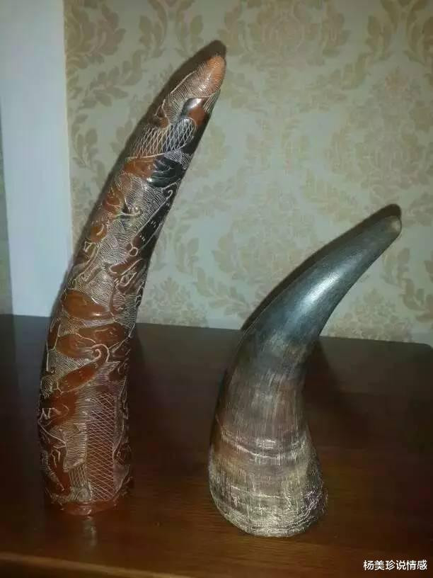 残忍！这9种带血文玩太血腥！碰了小心坐牢