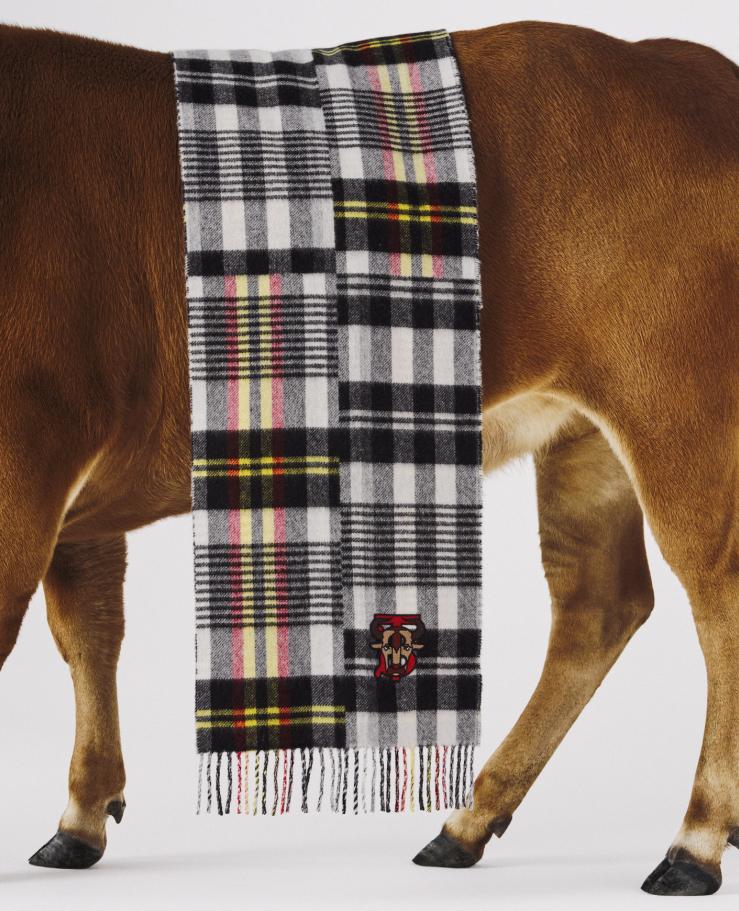 各大奢侈品今年新款,2020年流行的爆款奢侈品