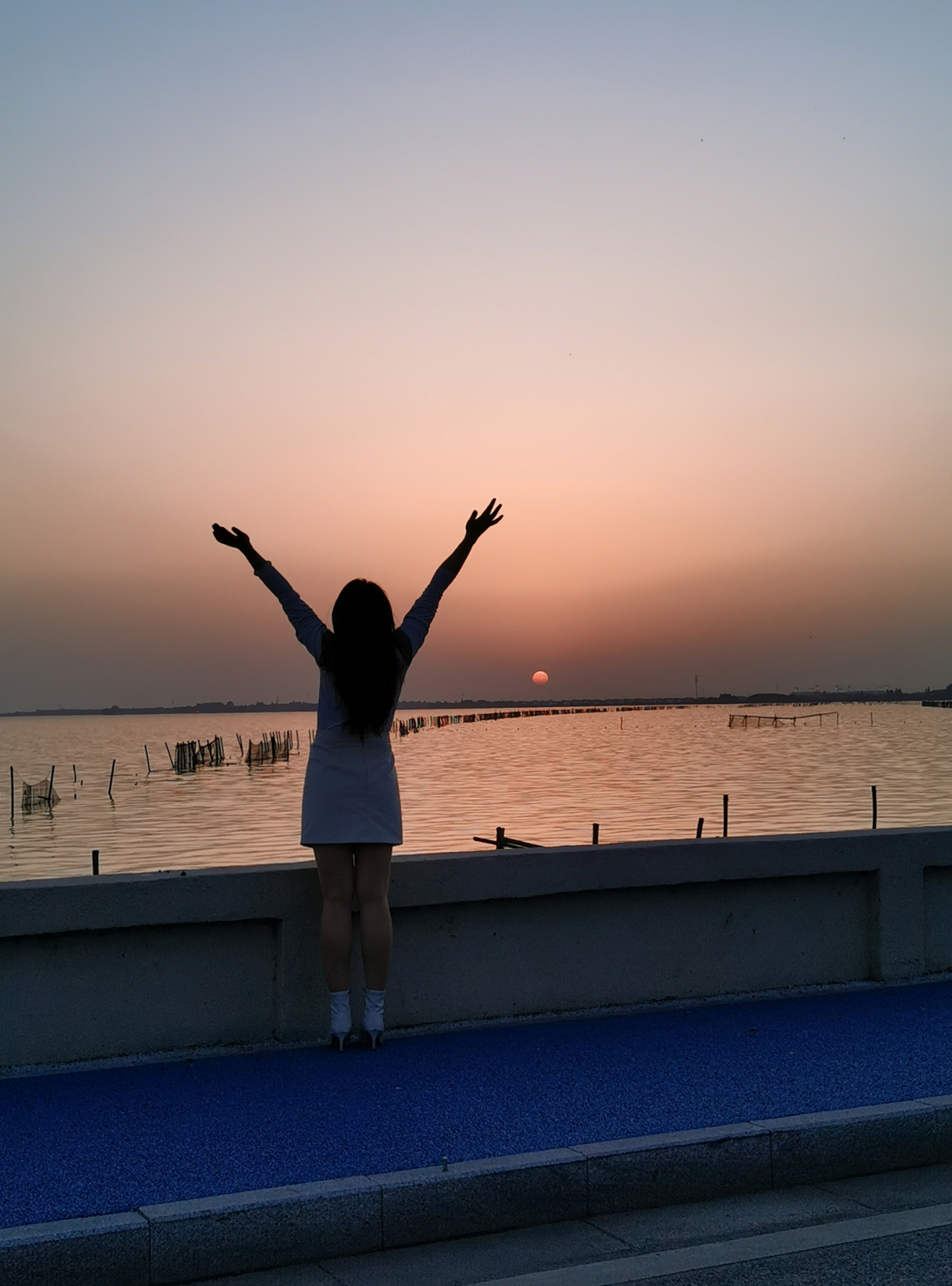 上海6天5夜旅游景点攻略,出差上海一日游攻略必去景点