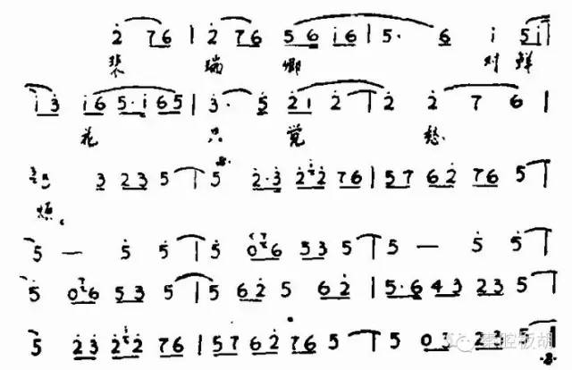 荆生彦板胡视频,荆生彦板胡演奏视频